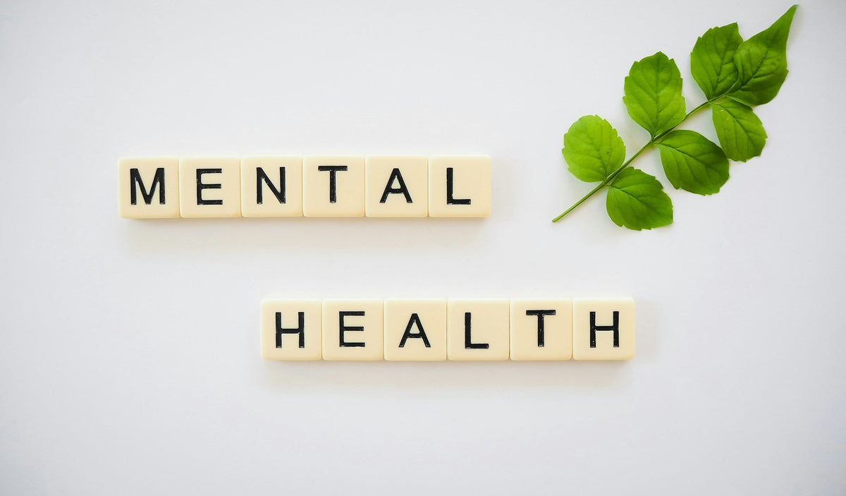 importance santé mentale bien être holistique