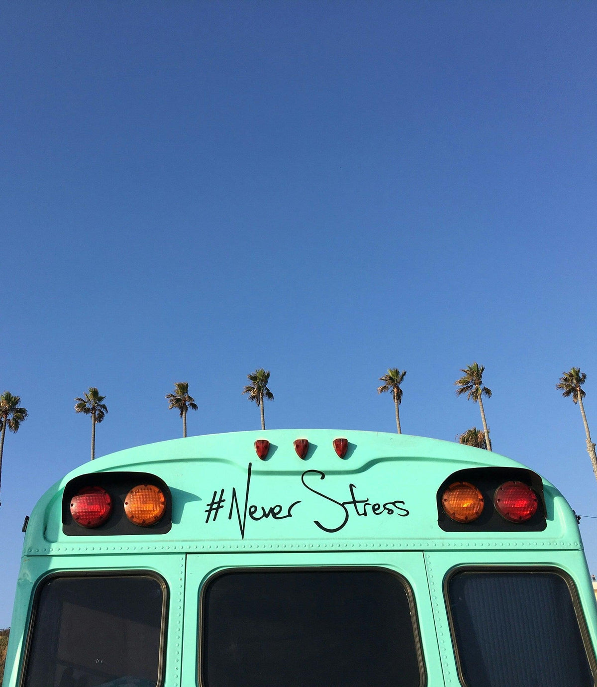 californie bus sérénité holistique