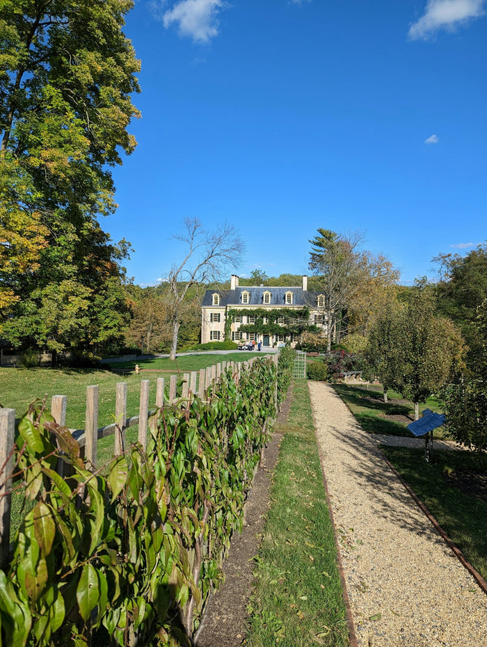 a garden with a fence and a house in the background